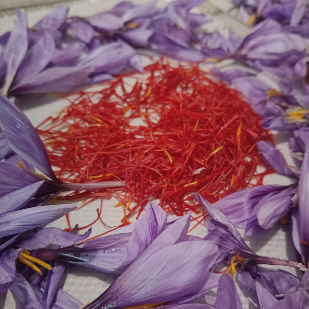 Stimmi di zafferano 0,30 gr.