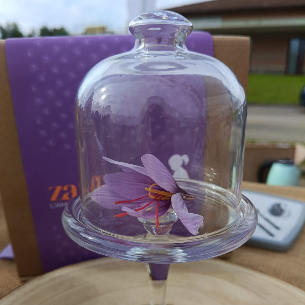 Stimmi di zafferano 0,15 gr.